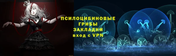 молекула духа Волосово