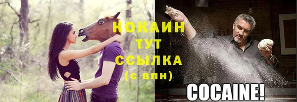 молекула духа Волосово