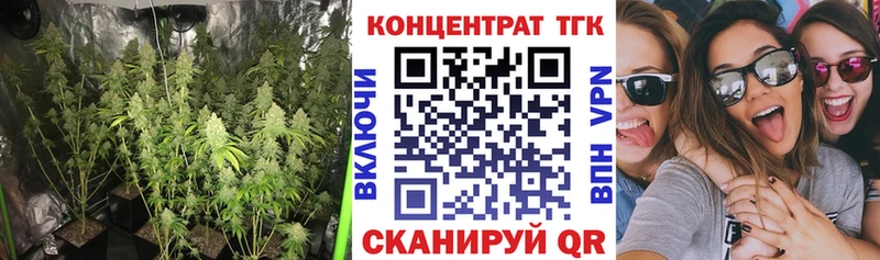 Дистиллят ТГК THC oil  Касли 