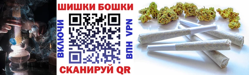 продажа наркотиков  сайты даркнета формула  Бошки марихуана конопля  Касли 